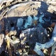 19UUA66216A033460 2006 Acura Tl auction photo thumbnail 15
