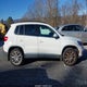 WVGAV3AX1EW534000 2014 Volkswagen Tiguan Sel auction photo thumbnail 13