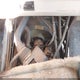 3FCMF53S0YJA07454 2000 Ford F550 Super Duty Stripped Chass auction photo thumbnail 10