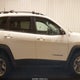 1C4PJMBX5KD141610 2019 Jeep Cherokee Trailhawk Elite 4X4 auction photo thumbnail 14