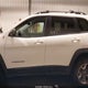 1C4PJMBX5KD141610 2019 Jeep Cherokee Trailhawk Elite 4X4 auction photo thumbnail 15
