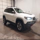 1C4PJMBX5KD141610 2019 Jeep Cherokee Trailhawk Elite 4X4 auction photo thumbnail 1