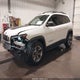 1C4PJMBX5KD141610 2019 Jeep Cherokee Trailhawk Elite 4X4 auction photo thumbnail 2
