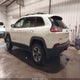 1C4PJMBX5KD141610 2019 Jeep Cherokee Trailhawk Elite 4X4 auction photo thumbnail 3