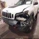 1C4PJMBX5KD141610 2019 Jeep Cherokee Trailhawk Elite 4X4 auction photo thumbnail 6