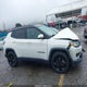 3C4NJCBB0KT613972 2019 Jeep Compass Altitude Fwd auction photo thumbnail 13