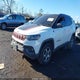 3C4NJDDB7NT156858 2022 Jeep Compass Trailhawk 4X4 auction photo thumbnail 2