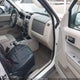 1FMCU9DG4CKC66509 2012 Ford Escape Xlt auction photo thumbnail 5