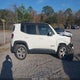 ZACNJBD12KPJ90573 2019 Jeep Renegade Limited 4X4 auction photo thumbnail 13