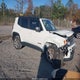 ZACNJBD12KPJ90573 2019 Jeep Renegade Limited 4X4 auction photo thumbnail 1