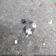 KMHD84LF0KU772605 2019 Hyundai Elantra Sel auction photo thumbnail 12