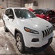 1C4PJMAB1FW697154 2015 Jeep Cherokee Sport auction photo thumbnail 1