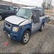 5J6YH27665L026636 2005 Honda Element Ex auction photo thumbnail 2