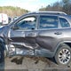 1C4PJLLNXKD153369 2019 Jeep Cherokee Latitude Plus Fwd auction photo thumbnail 15