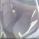5NPE34AF0JH651284 2018 Hyundai Sonata Sel auction photo thumbnail 8
