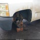 1GCSKPE30AZ279493 2010 Chevrolet Silverado 1500 Work Truck auction photo thumbnail 6