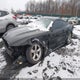 1FA6P8AM9F5346295 2015 Ford Mustang V6 auction photo thumbnail 2