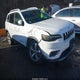 1C4PJMDX3MD148393 2021 Jeep Cherokee Limited 4X4 auction photo thumbnail 1