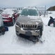 1C4PJMDX5LD642818 2020 Jeep Cherokee Limited 4X4 auction photo thumbnail 12
