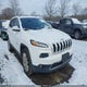 1C4PJMDB5GW199486 2016 Jeep Cherokee Limited auction photo thumbnail 1