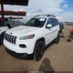1C4PJMCS2GW210624 2016 Jeep Cherokee Altitude auction photo thumbnail 2