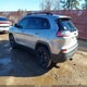 1C4PJLLB2MD135067 2021 Jeep Cherokee Altitude Fwd auction photo thumbnail 2