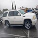 1GYFK63887R162578 2007 Cadillac Escalade Standard auction photo thumbnail 13