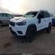 1C4PJMCX5ND552864 2022 Jeep Cherokee X 4X4 auction photo thumbnail 2