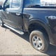 1FTEW3LP0SKE06883 2025 Ford F-150 Xlt auction photo thumbnail 6