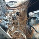 1FDBF3B67FEC57643 2015 Ford F-350 Xl auction photo thumbnail 7