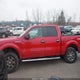 1FTFW1EF9BKD91264 2011 Ford F-150 Xlt auction photo thumbnail 15