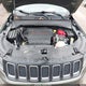 3C4NJDDBXMT602788 2021 Jeep Compass Trailhawk 4X4 auction photo thumbnail 10