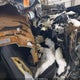 5NMS3CAD9LH256337 2020 Hyundai Santa Fe Sel auction photo thumbnail 5
