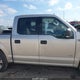 1FTEW1CP7FKD08444 2015 Ford F-150 Xlt auction photo thumbnail 13