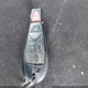 2D4RN5DG6BR649925 2011 Dodge Grand Caravan Crew auction photo thumbnail 11