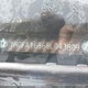 1HGFA16866L043809 2006 Honda Civic Ex auction photo thumbnail 9