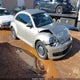 3VWHP7AT9DM685955 2013 Volkswagen Beetle 2.5L/2.5L Fender Edition auction photo thumbnail 1