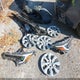 JTDBCMFE9R3063149 2024 Toyota Corolla Hybrid Le auction photo thumbnail 12