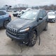 1C4PJLDB5GW355049 2016 Jeep Cherokee Limited auction photo thumbnail 2