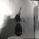 3GCEC13J68G184245 2008 Chevrolet Silverado 1500 Lt1 auction photo thumbnail 11