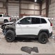 1C4PJMBS0GW300291 2016 Jeep Cherokee Trailhawk auction photo thumbnail 15