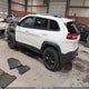 1C4PJMBS0GW300291 2016 Jeep Cherokee Trailhawk auction photo thumbnail 3