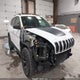 1C4PJMBS0GW300291 2016 Jeep Cherokee Trailhawk auction photo thumbnail 6