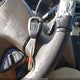 1HGCG16562A029714 2002 Honda Accord 3.0 Ex auction photo thumbnail 11