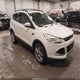 1FMCU9H98DUB62493 2013 Ford Escape Sel auction photo thumbnail 1