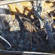 5XXGP4L3XJG241521 2018 Kia Optima auction photo thumbnail 8