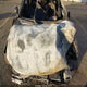 5XXG14J22NG130838 2022 Kia K5 Lxs auction photo thumbnail 10