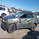 3C4NJDDB5LT255322 2020 Jeep Compass Trailhawk 4X4 auction photo thumbnail 14