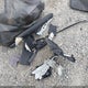 4T1KZ1AKXMU059491 2021 Toyota Camry Xse V6 auction photo thumbnail 12