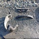 1N4AL2EP5CC242109 2012 Nissan Altima 2.5 S auction photo thumbnail 12